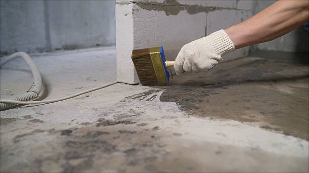Top rated local Interior Drainage System specialists in Danville, IN